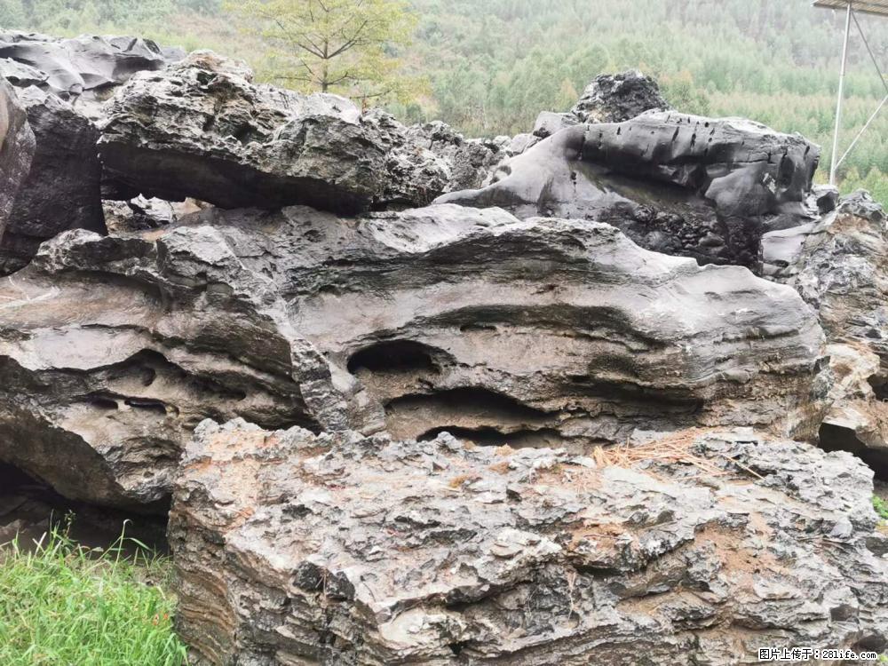 风景石、假山石大量有货,有需要的欢迎联系 - 新手上路 - 南充生活社区 - 南充28生活网 nanchong.28life.net