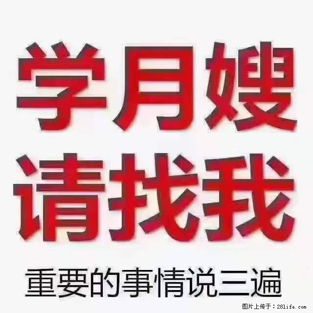 为什么要学习月嫂，育婴师？ - 新手上路 - 南充生活社区 - 南充28生活网 nanchong.28life.net