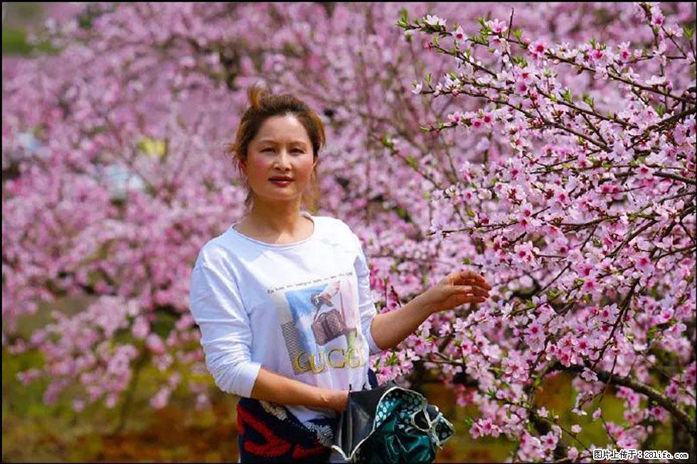 【春天,广西桂林灌阳县向您发出邀请!】官庄村有个醉美的桃花园 - 游山玩水 - 南充生活社区 - 南充28生活网 nanchong.28life.net