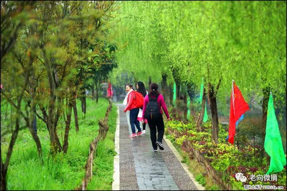 【春天，广西桂林灌阳县向您发出邀请！】江口老街又逢春 - 游山玩水 - 南充生活社区 - 南充28生活网 nanchong.28life.net