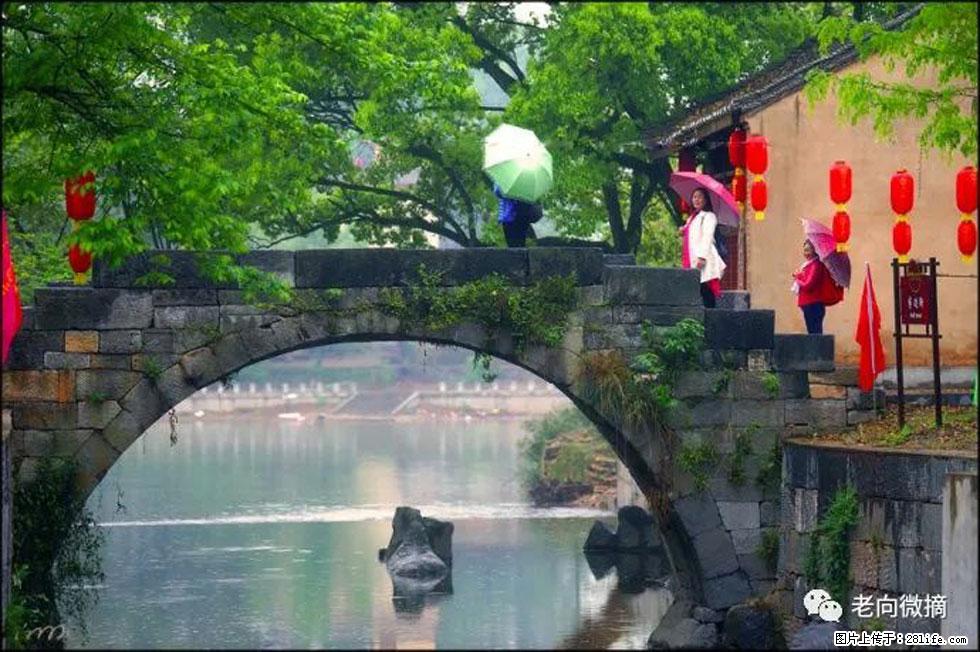 【春天，广西桂林灌阳县向您发出邀请！】江口老街又逢春 - 游山玩水 - 南充生活社区 - 南充28生活网 nanchong.28life.net