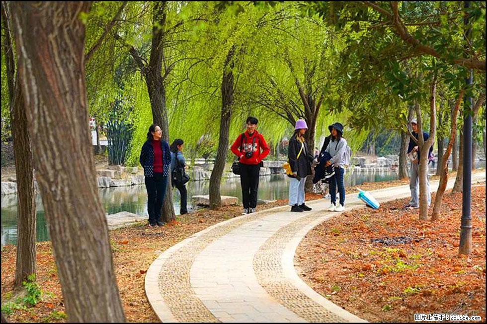 【春天，广西桂林灌阳县向您发出邀请！】江口老街又逢春 - 游山玩水 - 南充生活社区 - 南充28生活网 nanchong.28life.net
