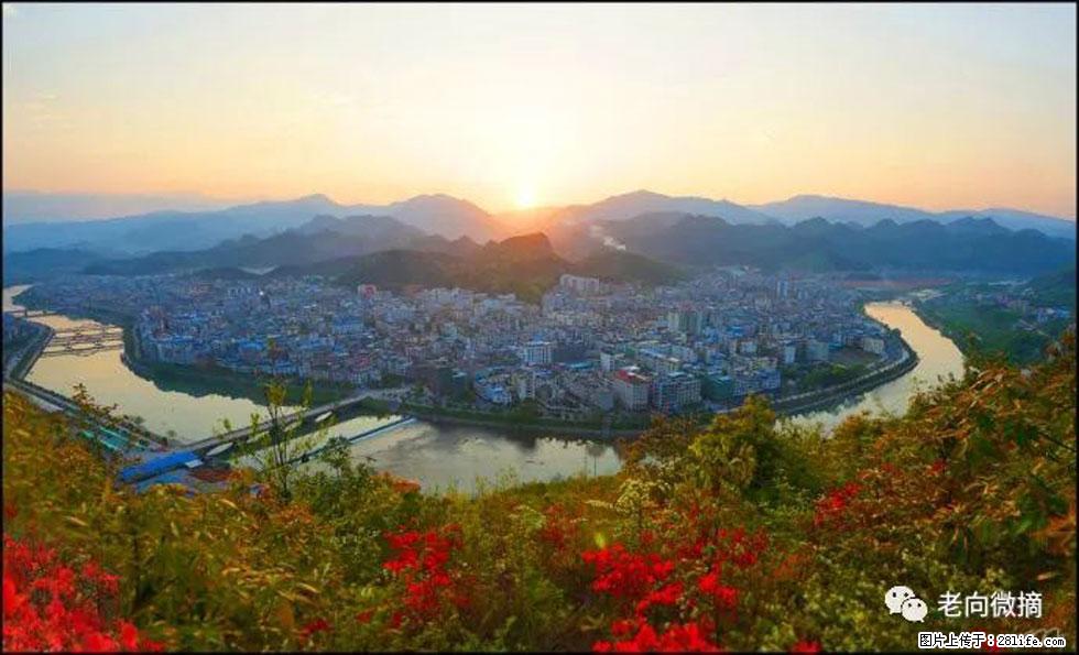 【春天，广西桂林灌阳县向您发出邀请！】登麒麟山，相约映山红 - 游山玩水 - 南充生活社区 - 南充28生活网 nanchong.28life.net