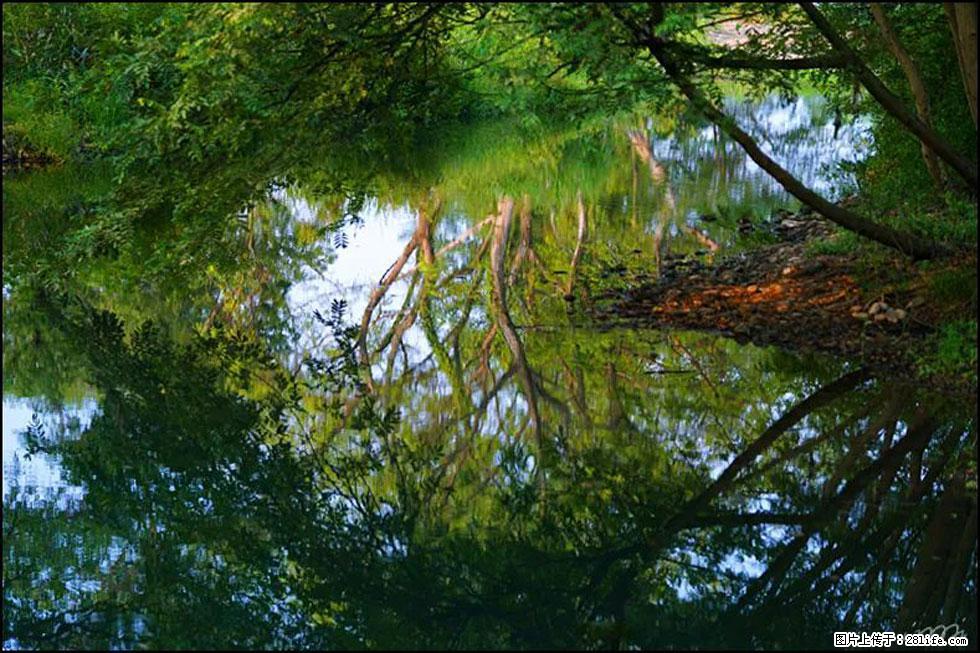 【春天，广西桂林灌阳县向您发出邀请！】熊家寨湿地公园 - 游山玩水 - 南充生活社区 - 南充28生活网 nanchong.28life.net