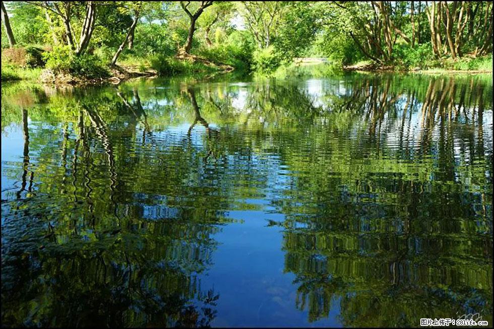 【春天，广西桂林灌阳县向您发出邀请！】熊家寨湿地公园 - 游山玩水 - 南充生活社区 - 南充28生活网 nanchong.28life.net