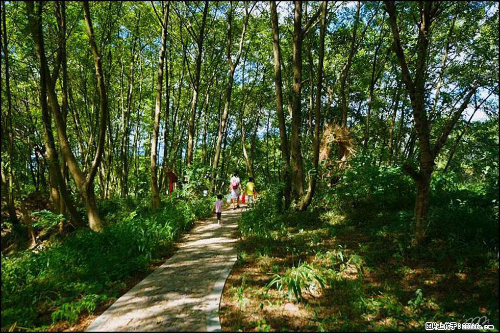 【春天，广西桂林灌阳县向您发出邀请！】熊家寨湿地公园 - 游山玩水 - 南充生活社区 - 南充28生活网 nanchong.28life.net