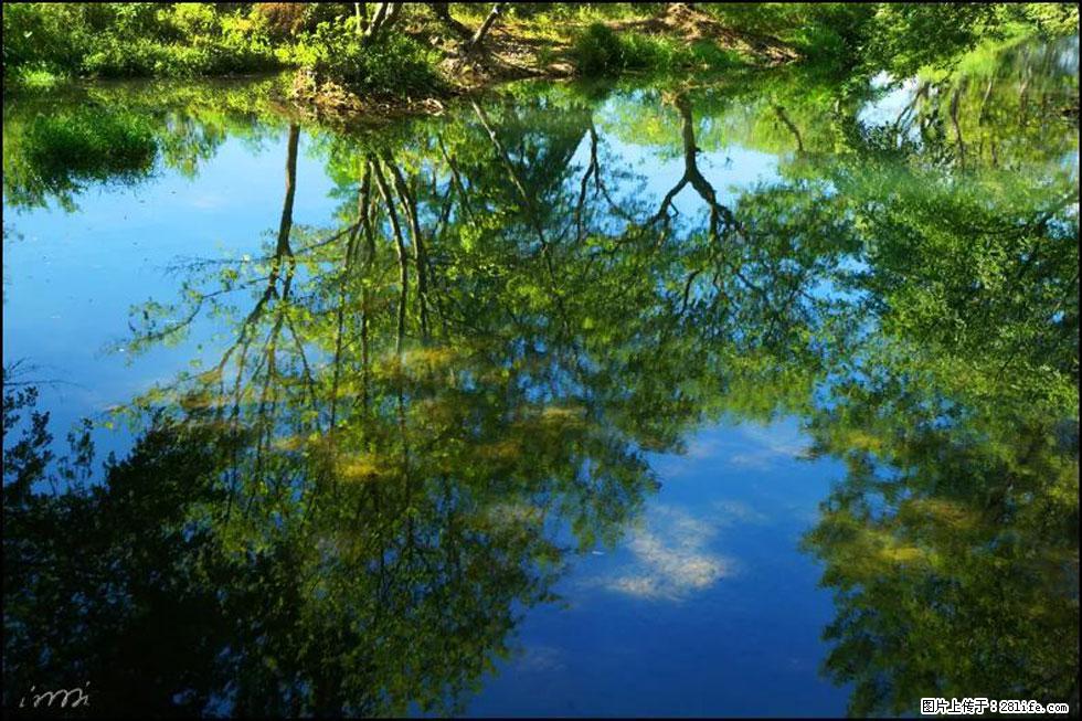 【春天，广西桂林灌阳县向您发出邀请！】熊家寨湿地公园 - 游山玩水 - 南充生活社区 - 南充28生活网 nanchong.28life.net