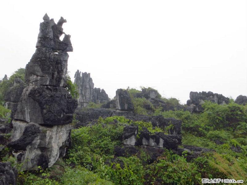 桂林旅游名城景点：灌阳文市石林 - 游山玩水 - 南充生活社区 - 南充28生活网 nanchong.28life.net