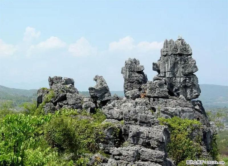 桂林旅游名城景点：灌阳文市石林 - 游山玩水 - 南充生活社区 - 南充28生活网 nanchong.28life.net