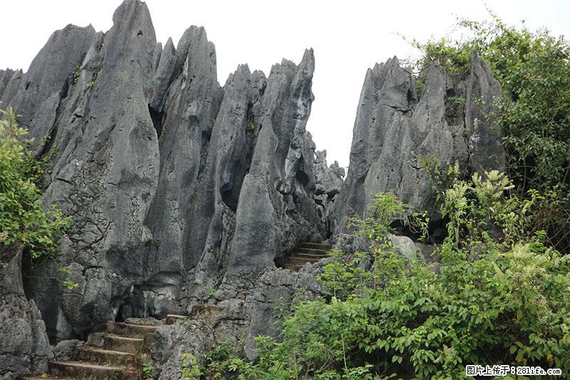 桂林旅游名城景点：灌阳文市石林 - 游山玩水 - 南充生活社区 - 南充28生活网 nanchong.28life.net