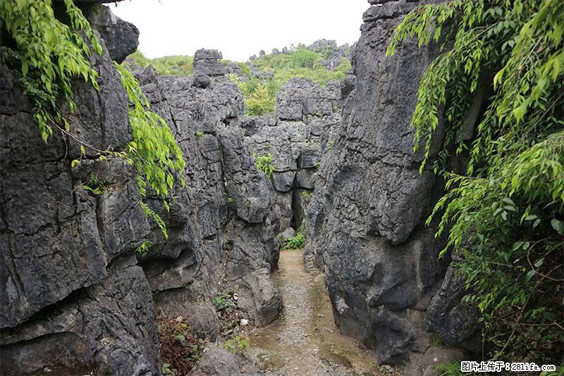 桂林旅游名城景点：灌阳文市石林 - 游山玩水 - 南充生活社区 - 南充28生活网 nanchong.28life.net