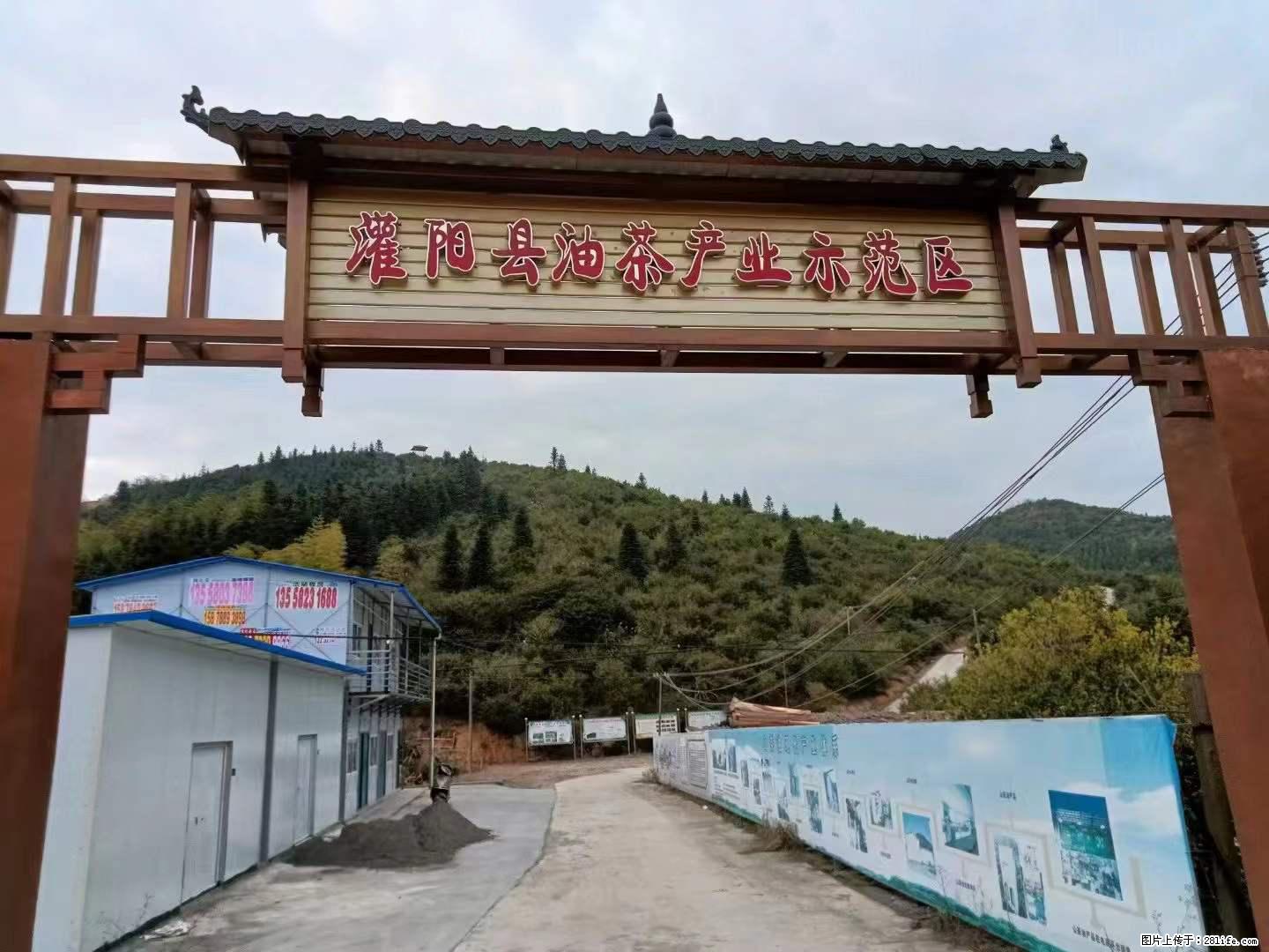 【灌阳县油茶产业示范区】一个有着充实的精神生活的人，对待身外之物自会有一种淡泊的态度 - 美食天地 - 南充生活社区 - 南充28生活网 nanchong.28life.net