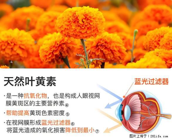 叶黄素有什么功效和作用 - 生活百科 - 南充生活社区 - 南充28生活网 nanchong.28life.net