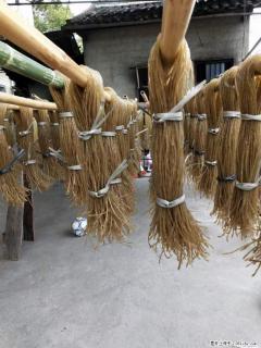 【灌阳正宗红薯粉】美女家里自己做的，干净卫生，假一赔十，价格合理，抢购电话：13737312895 - 南充28生活网 nanchong.28life.net