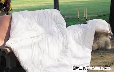 被子有异味？只要这样做，比晒太阳还强100倍！ - 家居生活 - 南充生活社区 - 南充28生活网 nanchong.28life.net