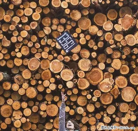 辞掉工作周游世界？现在他们在洗厕所…… - 游山玩水 - 南充生活社区 - 南充28生活网 nanchong.28life.net