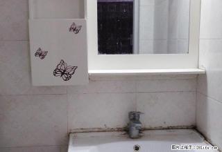玉带北路邮政小区1楼 楼中楼 精装修1室出租 - 南充28生活网 nanchong.28life.net