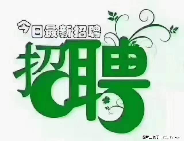 【招聘摄像师】待遇：试用期6000元/月，转正7000元/月+五险一金+餐补+节日福利+奖金 - 其他招聘信息 - 招聘求职 - 南充分类信息 - 南充28生活网 nanchong.28life.net