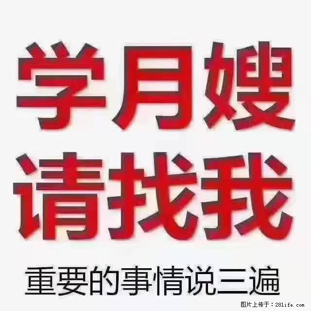 【招聘】月嫂，上海徐汇区 - 职场交流 - 南充生活社区 - 南充28生活网 nanchong.28life.net