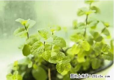 晕车、脚气、牙齿变黄、皮肤粗糙？学会这些三分钟搞定！ - 南充生活资讯 - 南充28生活网 nanchong.28life.net
