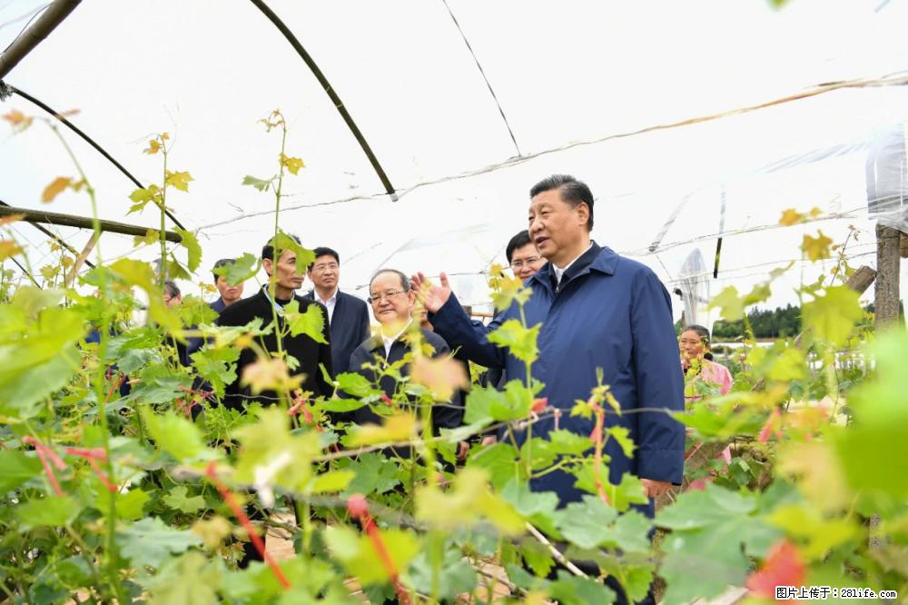习近平赴广西考察调研 - 南充生活资讯 - 南充28生活网 nanchong.28life.net