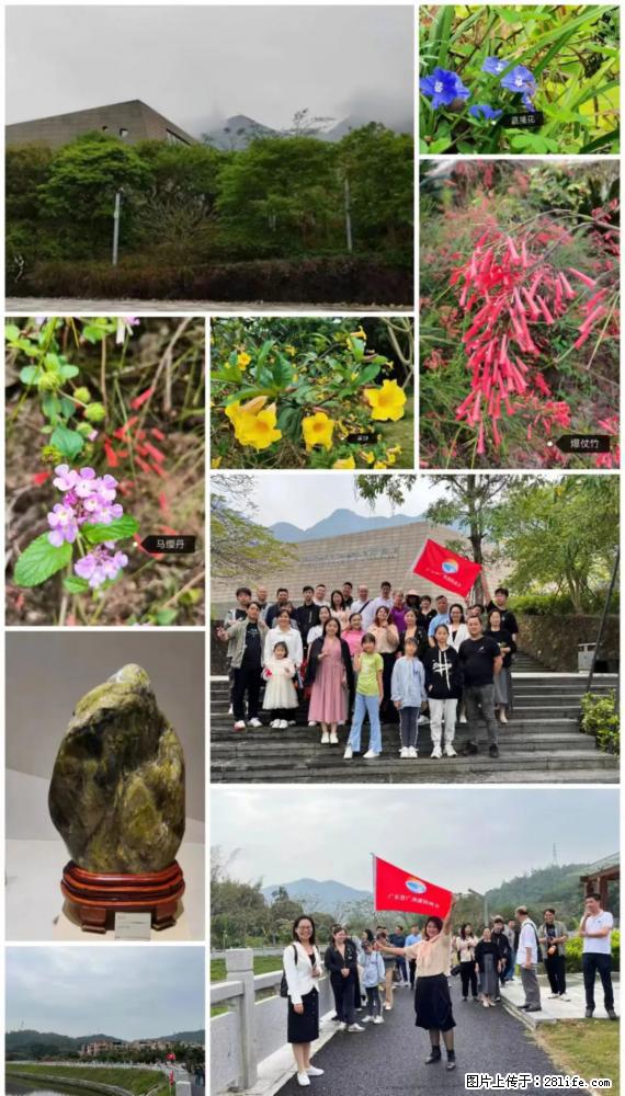 “粤灌文化 美好生活”油茶文化主题活动在广东深圳成功举办 - 南充生活资讯 - 南充28生活网 nanchong.28life.net