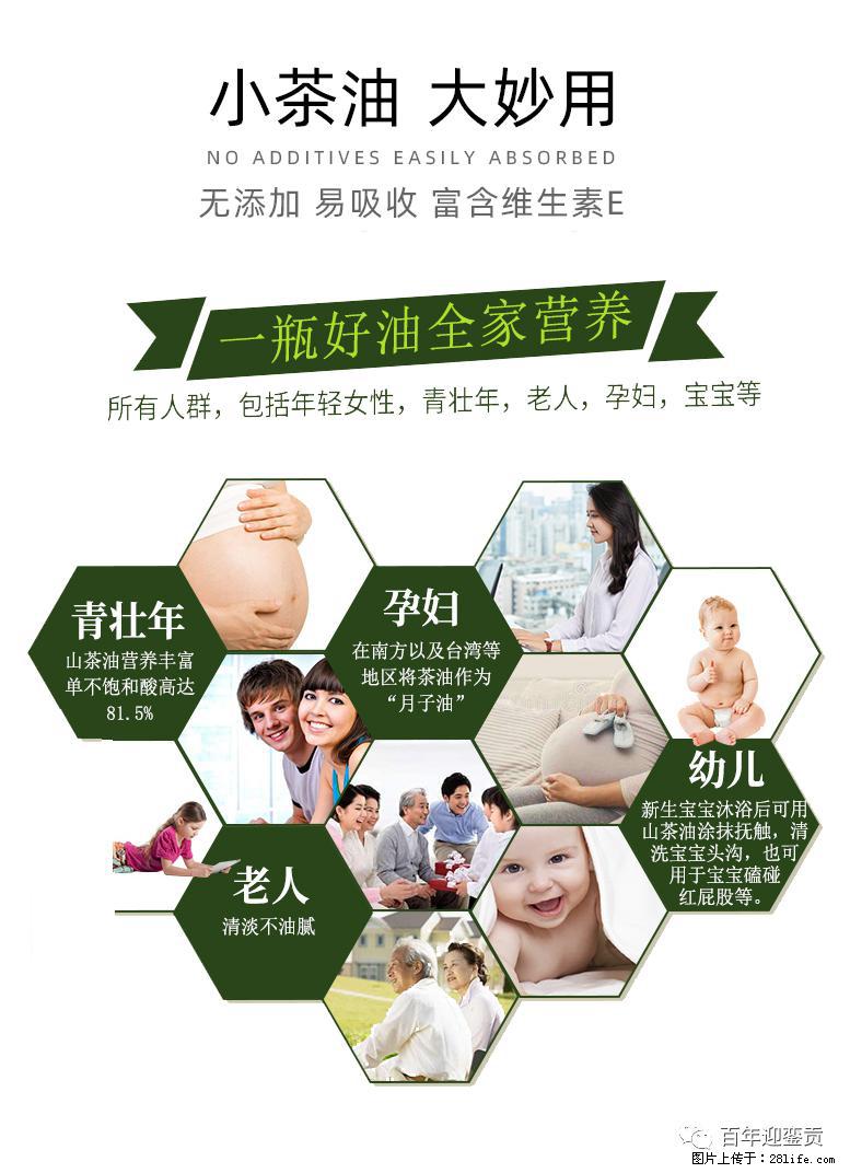 世界没有真相，只有认知，最好的食用油是中国的山茶油！ - 南充生活资讯 - 南充28生活网 nanchong.28life.net