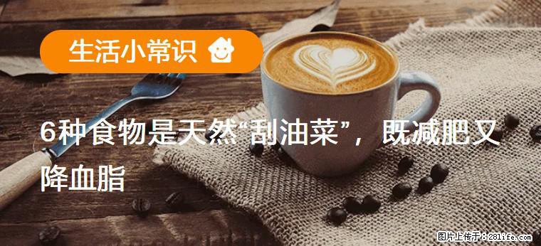 【生活小常识】6种食物是天然“刮油菜”,既减肥又降血脂 - 南充生活资讯 - 南充28生活网 nanchong.28life.net