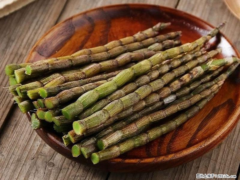 铁皮石斛的作用与功能主治 - 南充生活资讯 - 南充28生活网 nanchong.28life.net