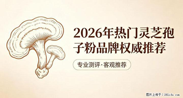 灵芝孢子粉含量越高越有效?2026 年七款热门品牌深度实测,肠胃敏感者避坑指南 - 南充生活资讯 - 南充28生活网 nanchong.28life.net
